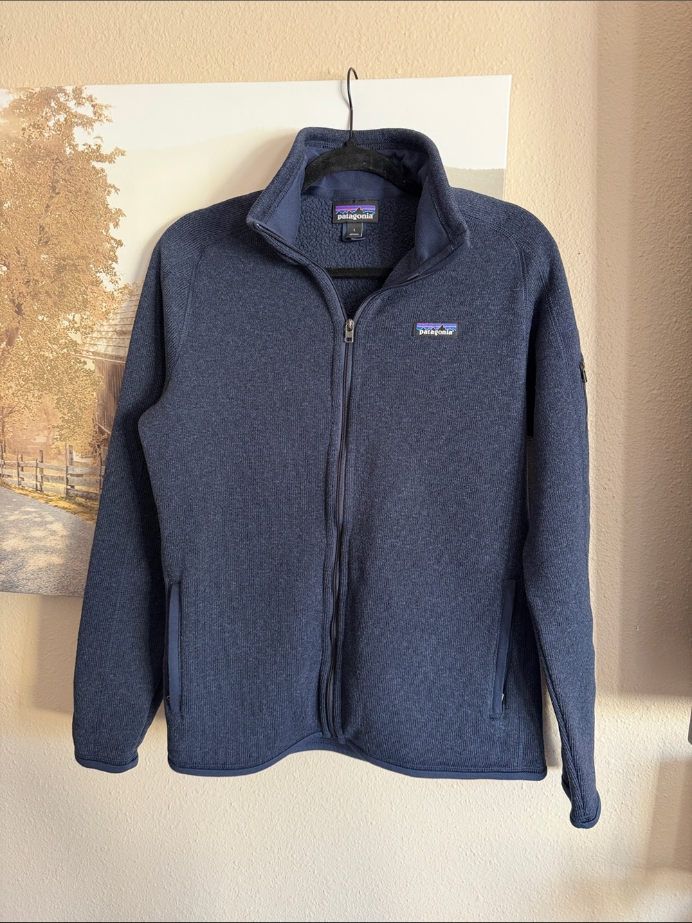 Patagonia better sweater jacket